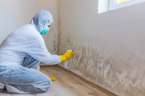 Licensed Mold Inspection service in Oakhurst, NJ - WQB Mold Removal