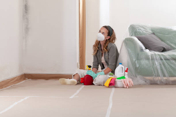 Reliable Mold Inspection contractor in Oakhurst, NJ by WQB Mold Removal